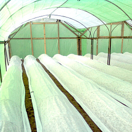 Агротекс 60-1,6х200м белый можно купить оптом и в розницу со склада в Москве и Воронеже через компанию ВРН упак, осуществляем доставку товара по всей России и СНГ.